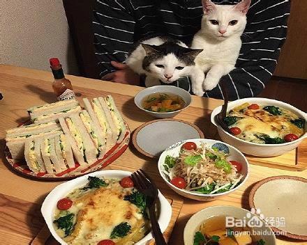 怎樣讓餐桌上的飯菜搭配的更有食慾