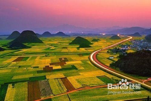 雲南四大賞花地旅遊攻略