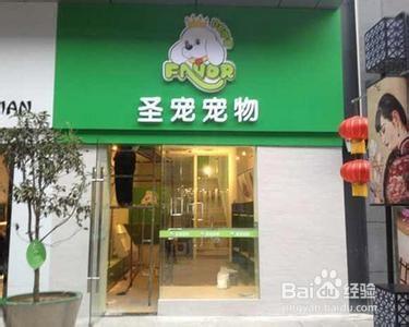 不錯的小生意小型寵物店