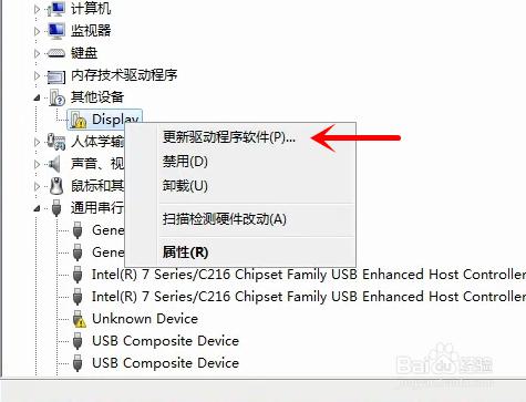 NVIDIA顯卡在設備管理器中顯示“display”