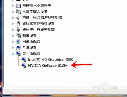 NVIDIA顯卡在設備管理器中顯示“display”