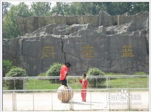 武漢九峰森林動物園遊玩項目【一】