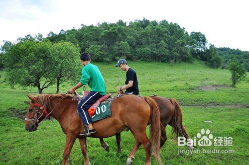 關山牧場旅遊攻略