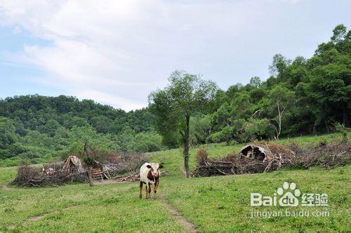 關山牧場旅遊攻略