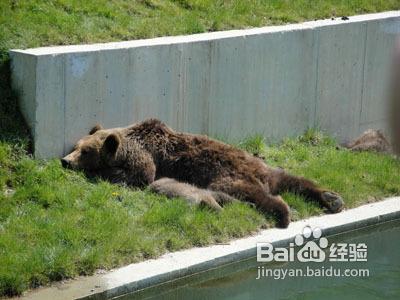 瑞士伯爾尼旅遊信息指南