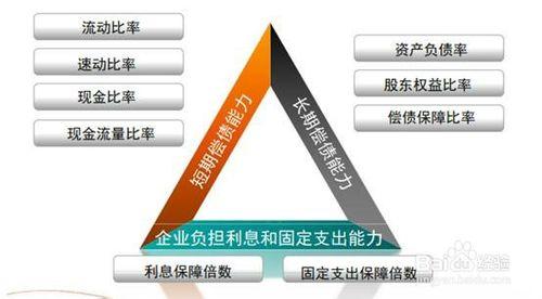 財務分析：[1]企業償債能力分析