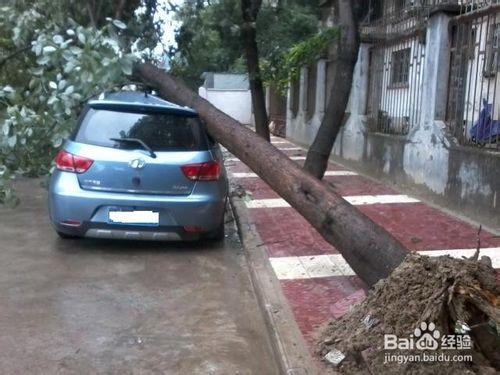 如何選擇安全的停車位置？