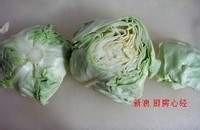 手撕包菜怎麼做？