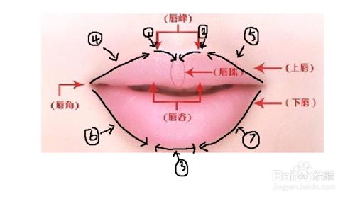 簡單易學畫脣線的方法