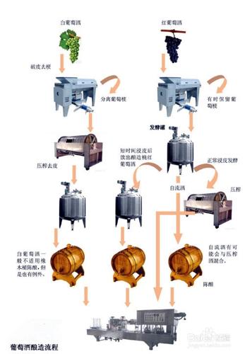 葡萄酒基礎知識之葡萄酒釀造