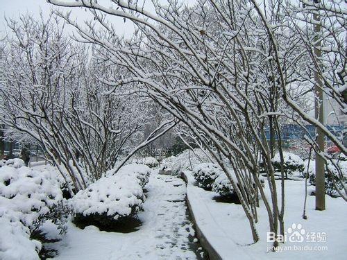 冰雪天氣，我們該如何出行防止摔倒