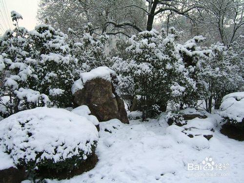 冰雪天氣，我們該如何出行防止摔倒