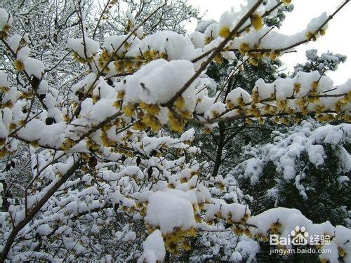 冰雪天氣，我們該如何出行防止摔倒