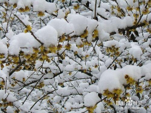 冰雪天氣，我們該如何出行防止摔倒