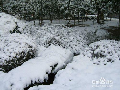 冰雪天氣，我們該如何出行防止摔倒