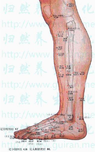 三叉神經痛：[2]陽明熱盛型的針刺療法