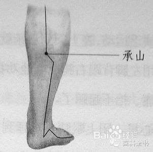 快速給力的10個身體穴位減肥排毒