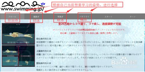 日本3D游泳動畫自由泳蛙泳蝶泳教學