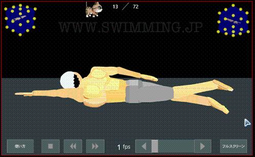 日本3D游泳動畫自由泳蛙泳蝶泳教學