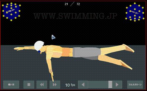 日本3D游泳動畫自由泳蛙泳蝶泳教學