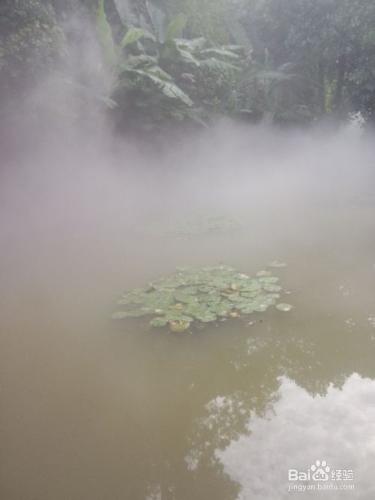 廈門沙生植物區旅遊攻略