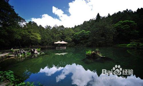 阿里山旅遊攻略—旅程天下