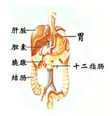 胃、十二指腸球部潰瘍注意事項