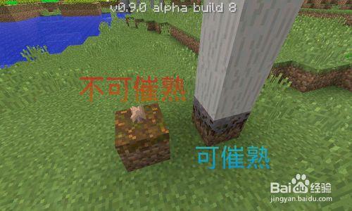 Minecraft(我的世界)如何種植蘑菇