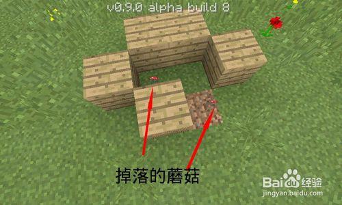 Minecraft(我的世界)如何種植蘑菇