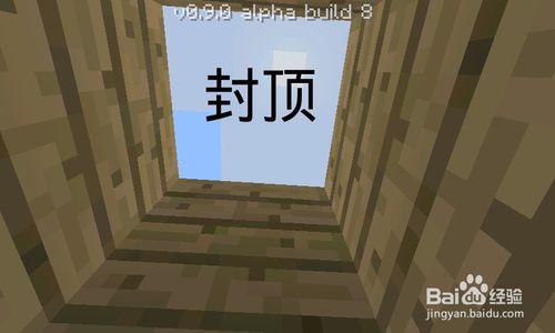 Minecraft(我的世界)如何種植蘑菇