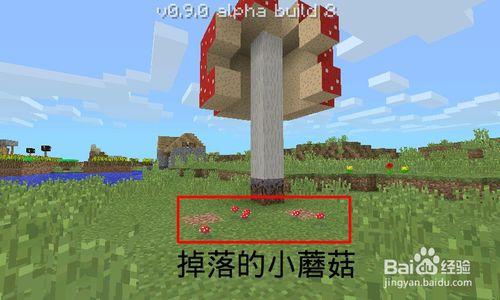 Minecraft(我的世界)如何種植蘑菇