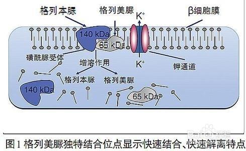 糖尿病人降糖藥物的調整與聯用