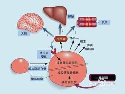 糖尿病人降糖藥物的調整與聯用