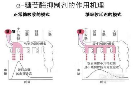 糖尿病人降糖藥物的調整與聯用