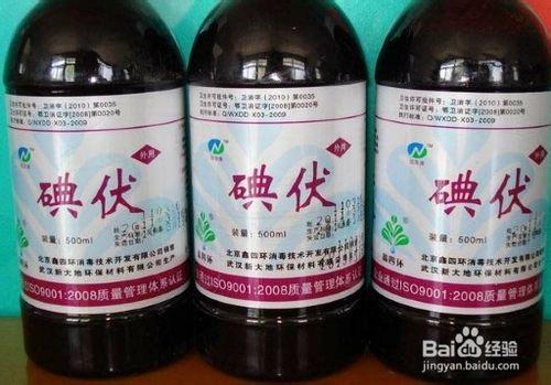 皮膚被蜘蛛尿感染怎麼辦