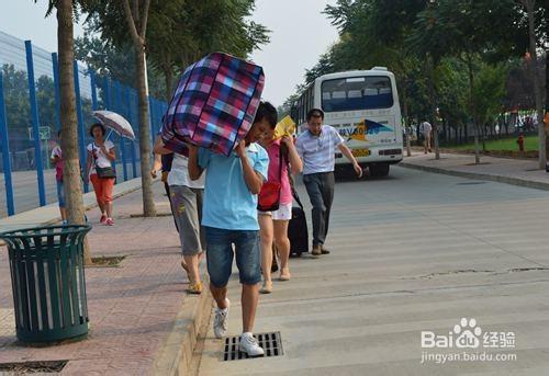 西北農林科技大學新生指南：報到指南