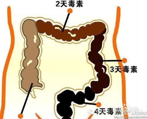 出油 長痘痘 青春痘 痤瘡