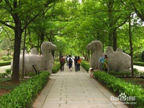 南京市著名旅遊景點