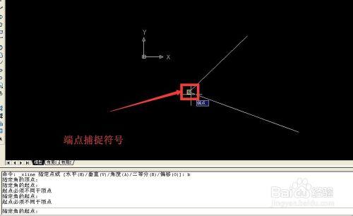 AutoCAD中射線和構造線的繪製技巧