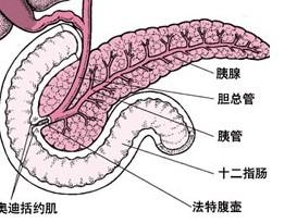 疾病信號——如何判斷腹痛是什麼病