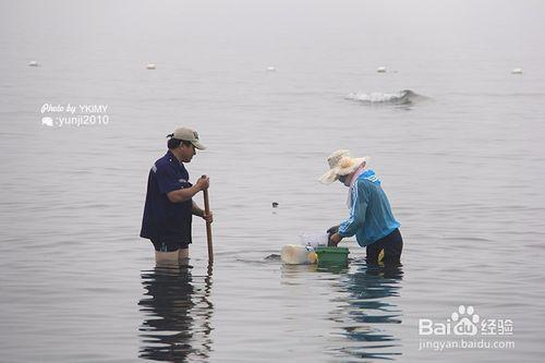 秦皇島旅遊 海邊抓拍遊玩樂趣