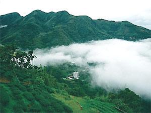 臺灣旅遊阿里山遊玩十大推薦景點