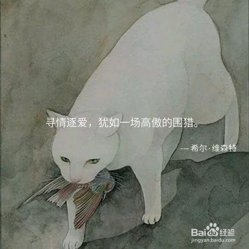 尋情逐愛，猶如一場高傲的圍獵