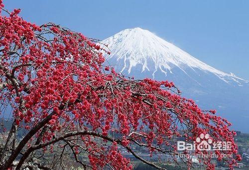 三月踏青春遊好去處—旅程天下