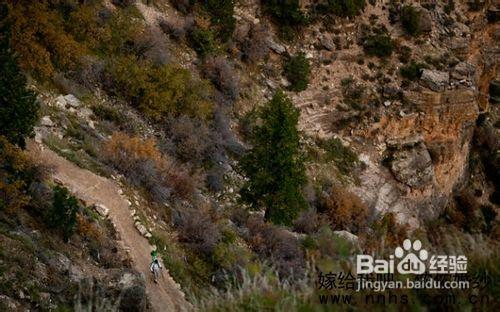 背上Trekker，Google探尋大峽谷街景