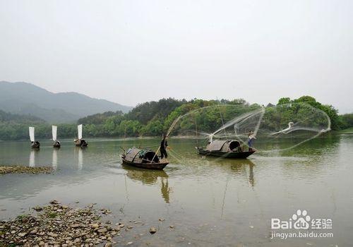 如何捕魚的幾種神奇絕密方法野釣野捕魚撈魚遊玩