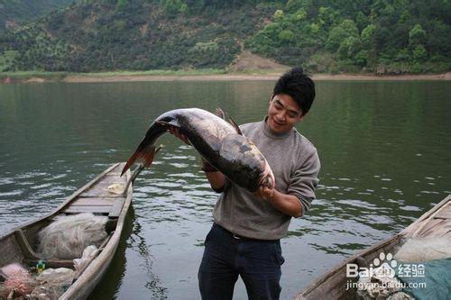 如何捕魚的幾種神奇絕密方法野釣野捕魚撈魚遊玩