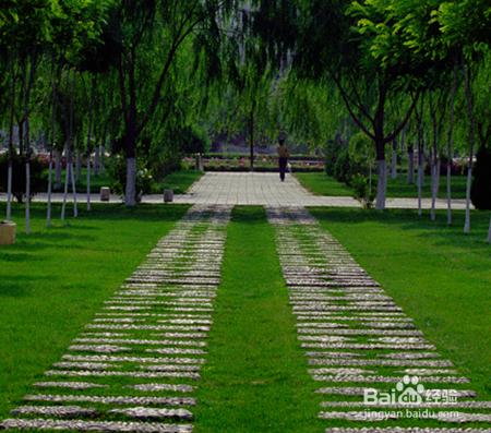 北方民族大學校內餐廳分佈