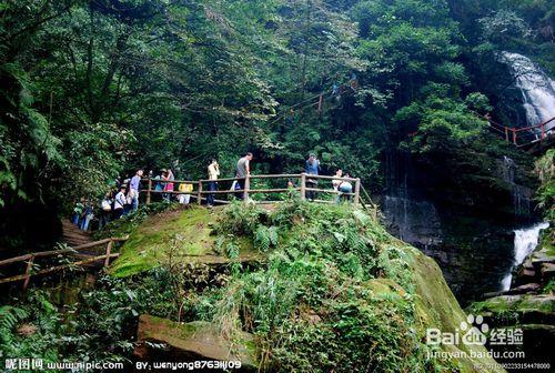 漂亮的碧峰峽