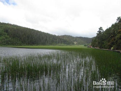 麗江怎麼去香格里拉旅遊景區？怎麼樣比較好玩？